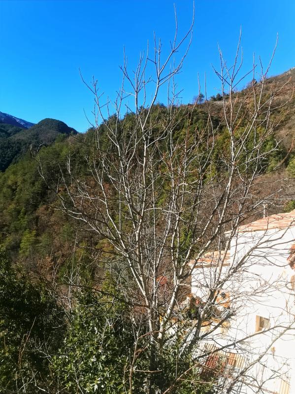 Mas - 100 m² - 4 pièces