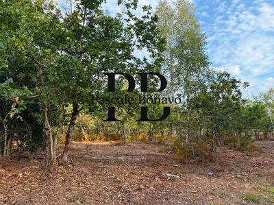 Terrain de loisirs - 2 770 m²