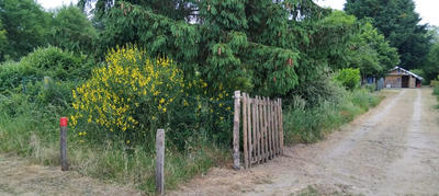 Terrain de loisirs - 1 660 m²