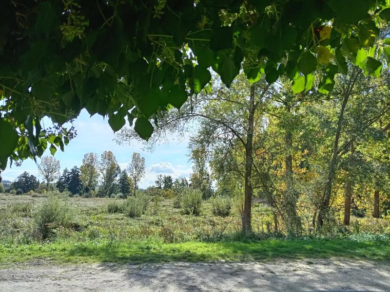 Maison - 240 m² - 8 pièces