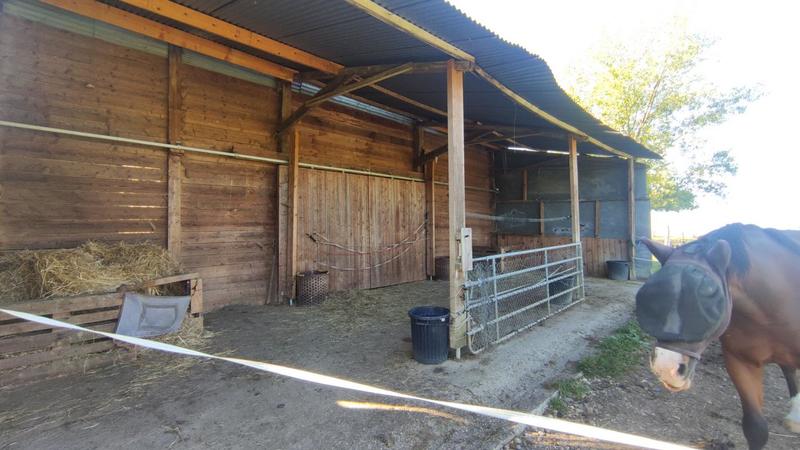 Maison - 300 m² - 9 pièces