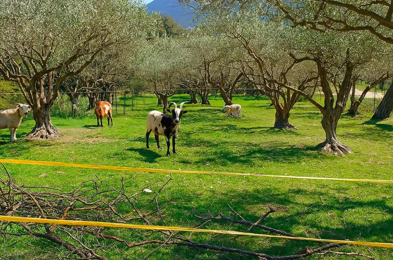 Maison - 151 m² - 4 pièces