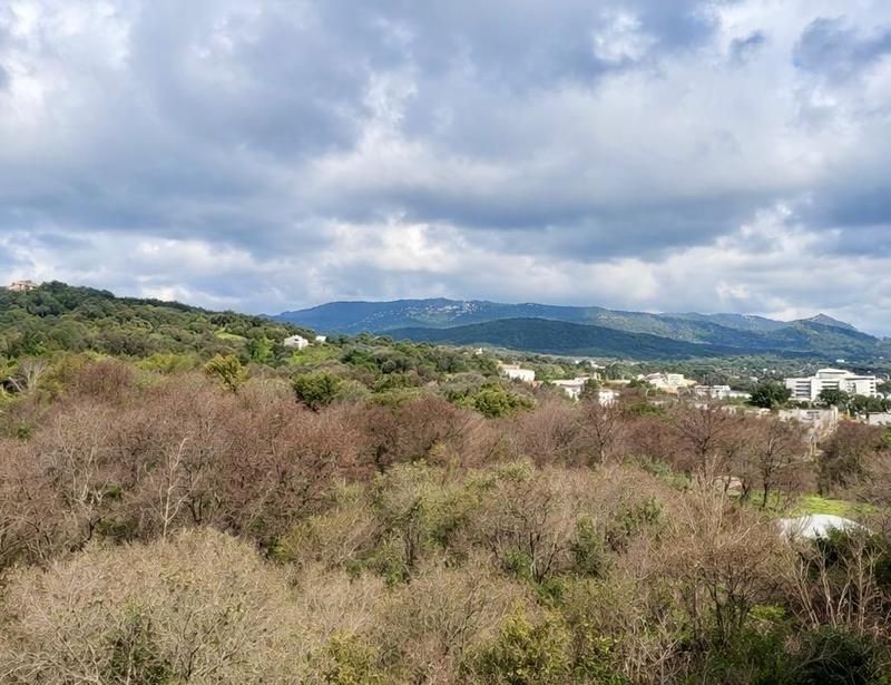 Appartement - 100 m² - 4 pièces