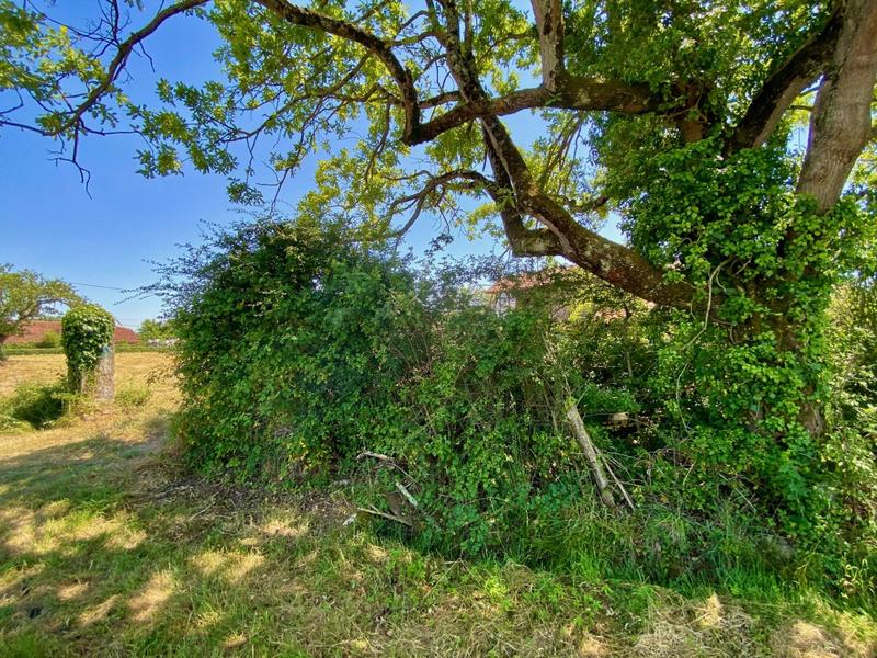 Maison - 35 m² - 2 pièces