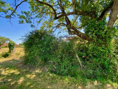 Maison - 35 m² - 2 pièces