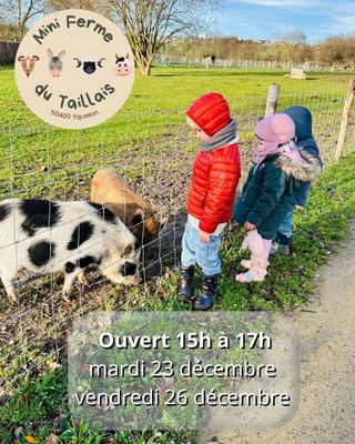 Visite de la ferme du Taillais - sans réservation