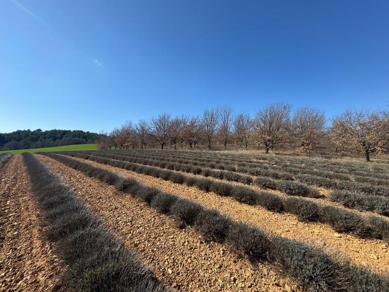 Terrain constructible - 634 m²