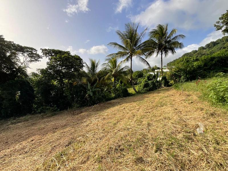 Terrain constructible - 1 111 m²