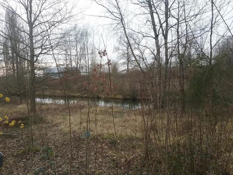 Terrain - 15 500 m²