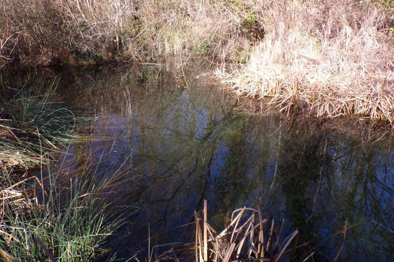 Maison - 167 m² - 6 pièces