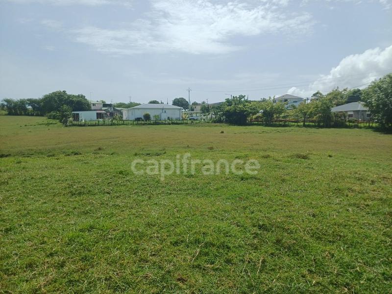 Terrain constructible - 1 000 m²