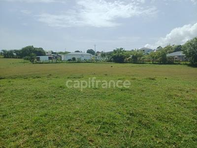 Terrain constructible - 1 000 m²