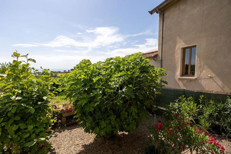 Maison - 171 m² - 4 pièces