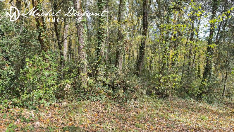 Terrain - 10 039 m²