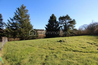 Terrain - 789 m²
