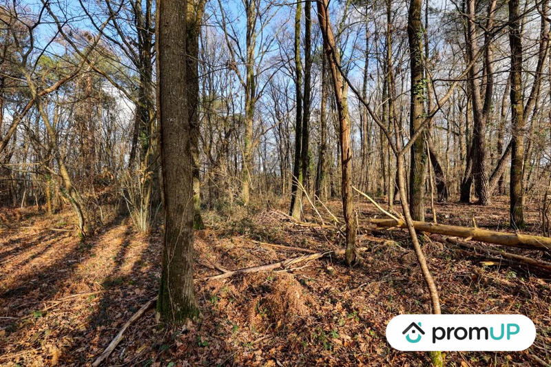 Terrain de loisirs - 770 m²