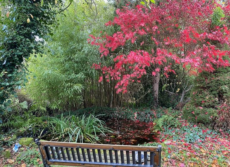 Maison - 166 m² - 6 pièces