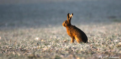 Votre semaine en 7 Vallées