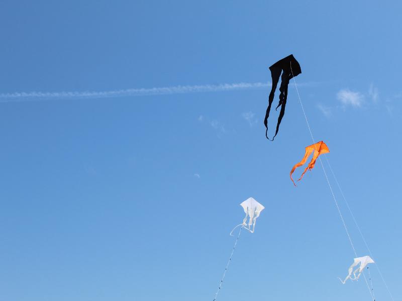 Fête du Vent à Terres d'Oiseaux