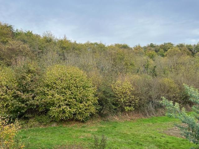 Maison - 138 m² - 6 pièces