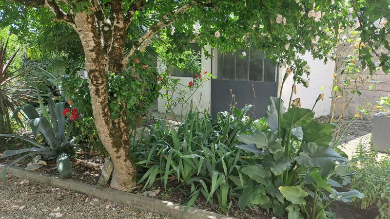 Maison en pierre - 175 m² - 6 pièces