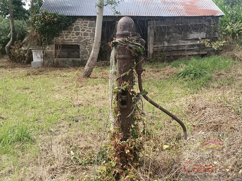 Maison ancienne - 294 m² - 8 pièces