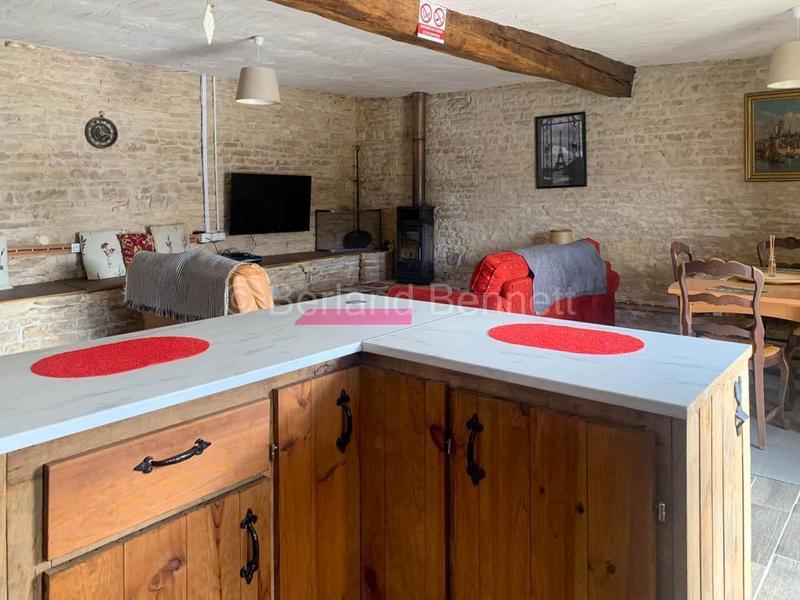 Maison en pierre - 439 m² - 14 pièces