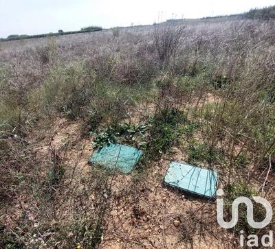 Terrain agricole - 6 635 m²