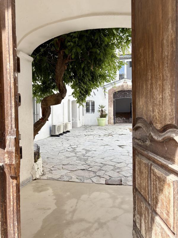 Maison de maîtres - 485 m² - 20 pièces