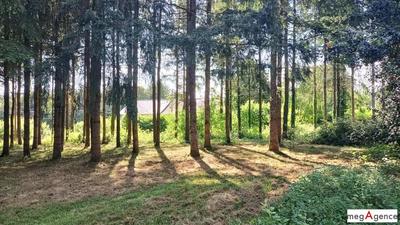 Maison ancienne - 52 m² - 3 pièces