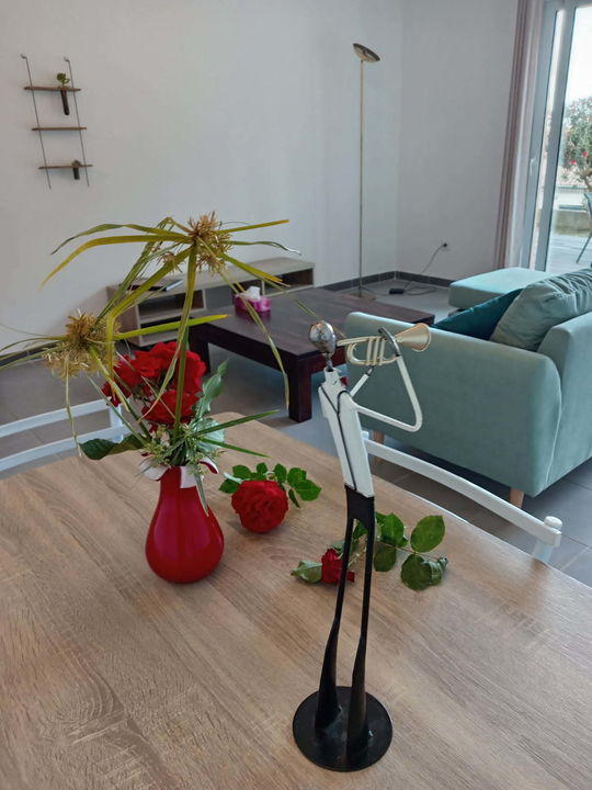 Appartement - 75 m² - 3 pièces