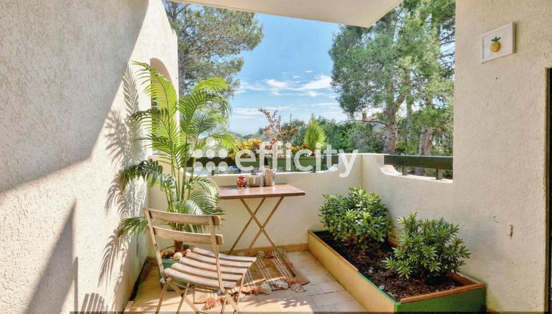 Appartement - 50 m² - 2 pièces