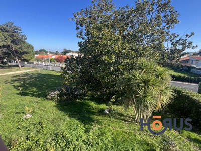 Viager - Maison - 165 m² - 6 pièces