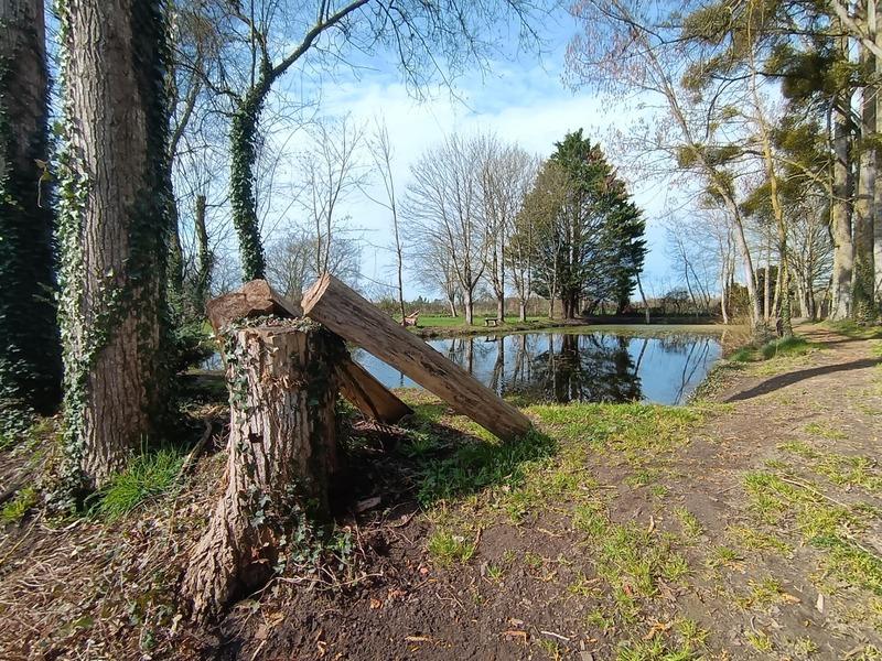 Maison - 165 m² - 7 pièces