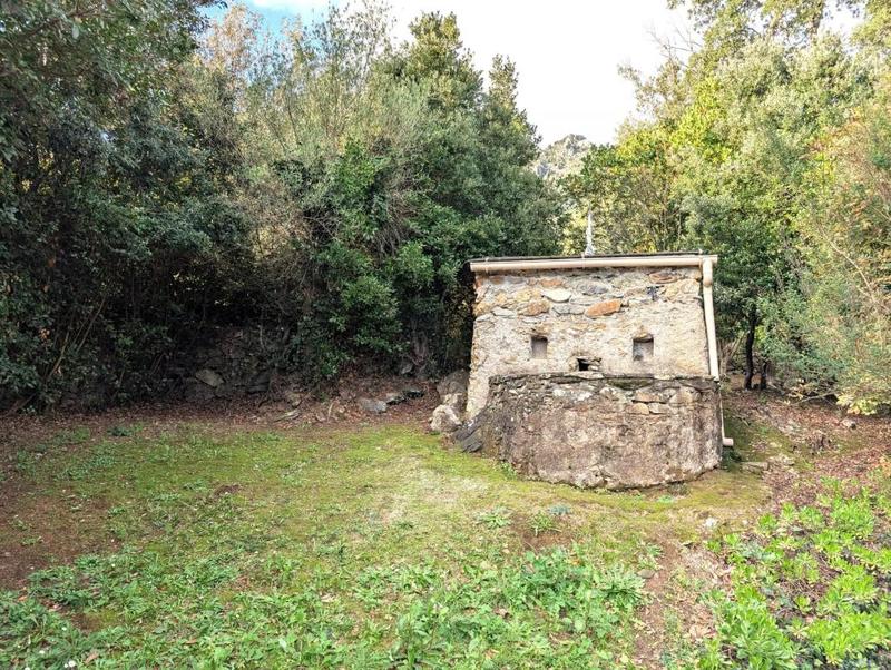 Propriété - 219 m² - 7 pièces