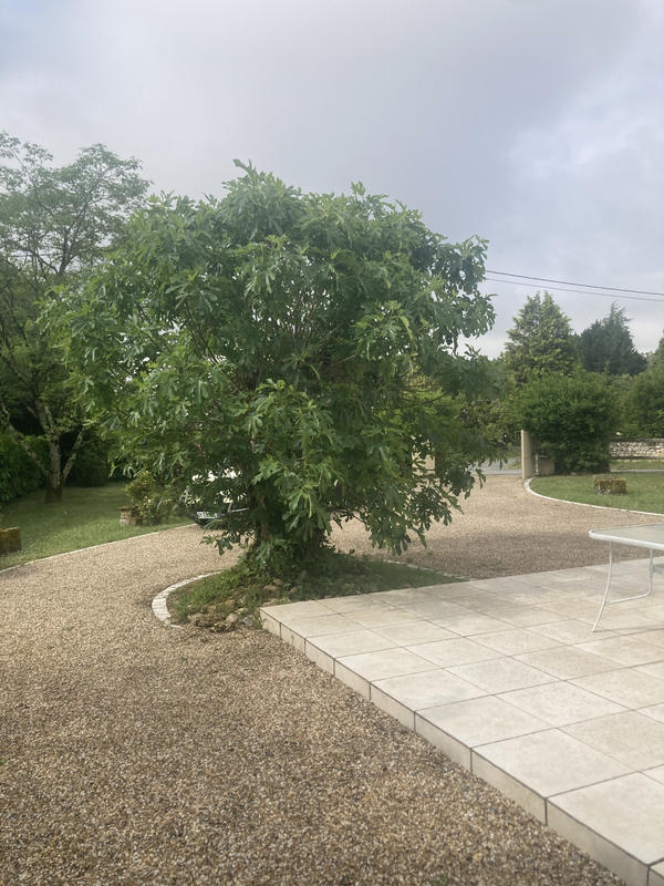 Maison de village - 125 m² - 4 pièces