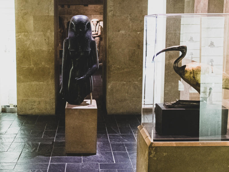 Visites commentées au Musée d'Archéologie Méditerranéenne (Mam)