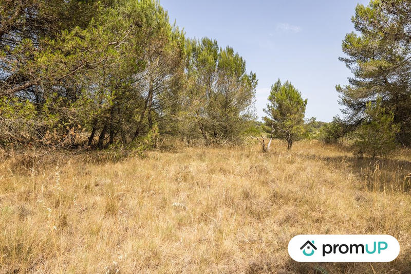 Terrain de loisirs - 8 952 m²