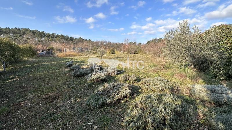 Maison - 124 m² - 6 pièces