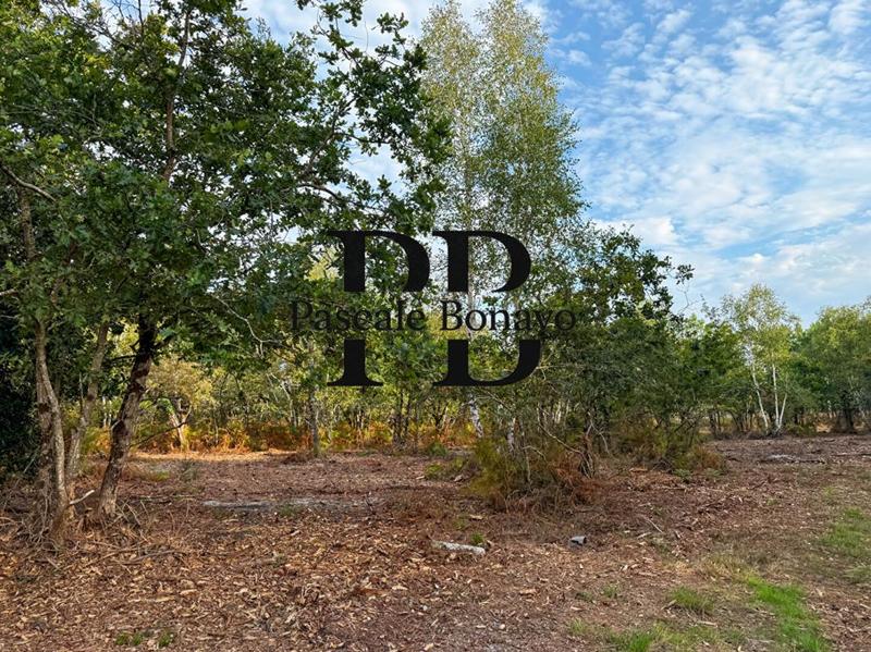 Terrain de loisirs - 2 770 m²