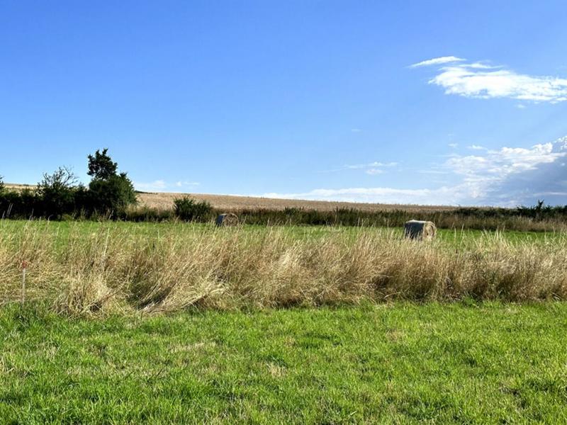 Terrain constructible - 1 009 m²