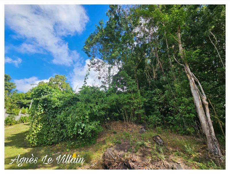 Terrain constructible - 1 041 m²