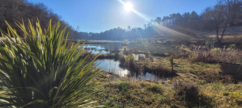 Terrain - 140 000 m²