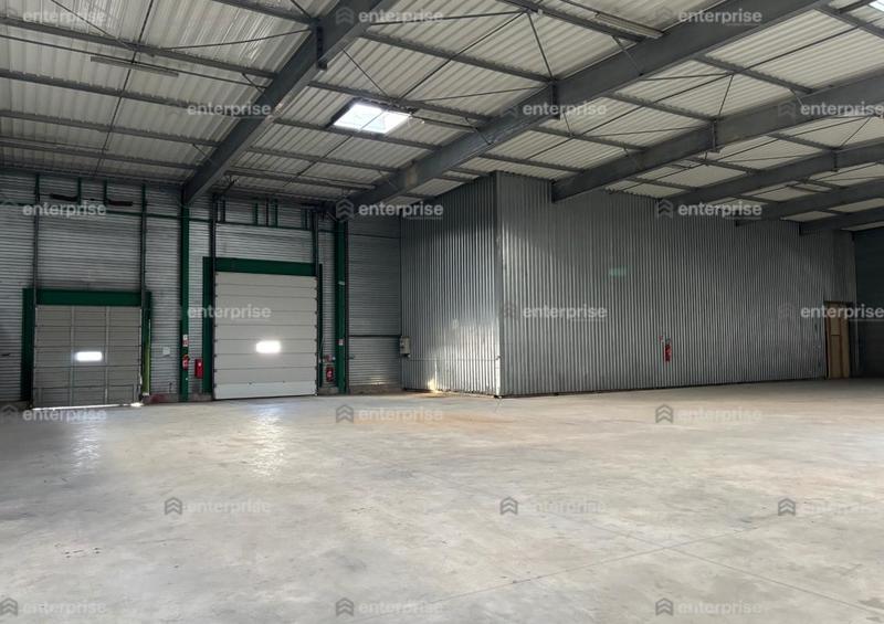 Local d'activité / Entrepôt - 1 210 m²
