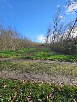 Terrain de loisirs - 1 360 m²