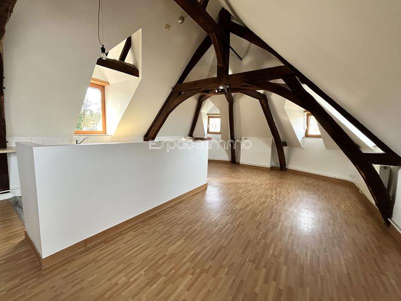 Loft - 40 m² - 1 pièce