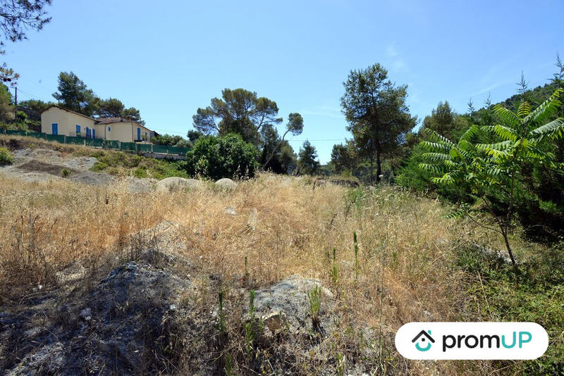 Terrain - 10 000 m²