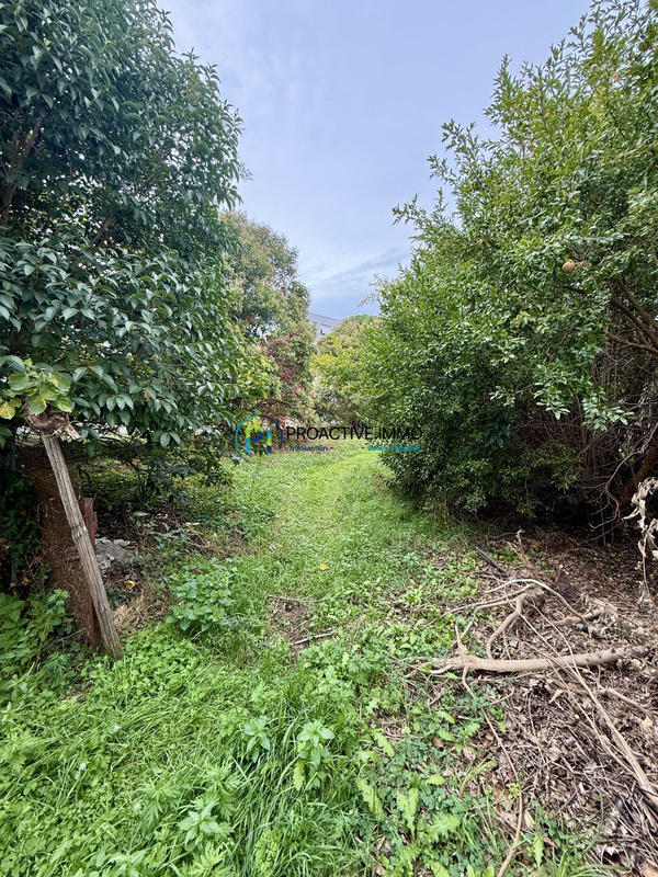 Terrain - 402 m²