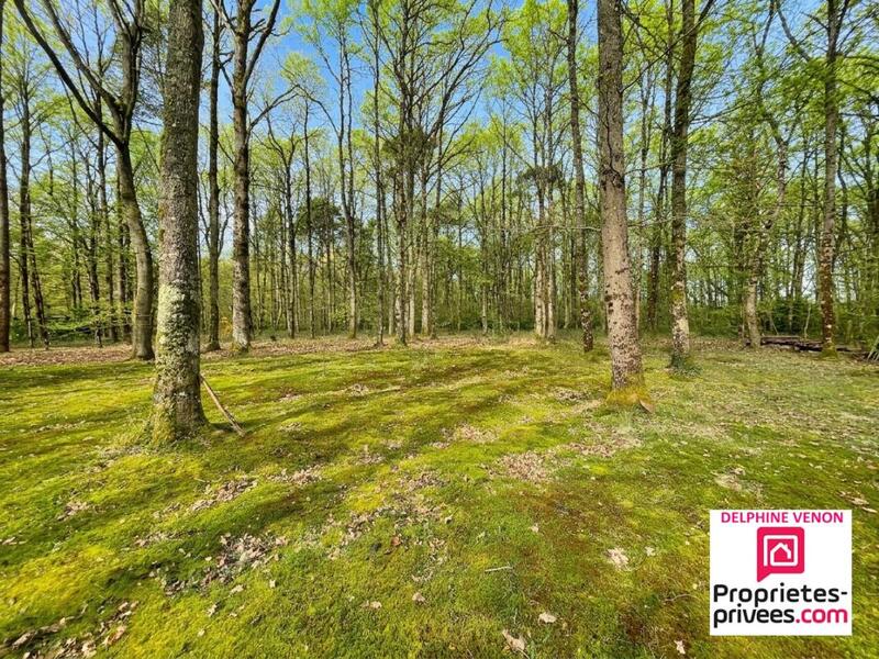 Maison - 205 m² - 7 pièces