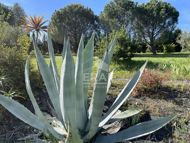 Villa - 140 m² - 5 pièces